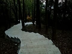 -火炉山森林公园
