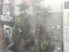 -丽江庭院之丽江往事(安定门店)
