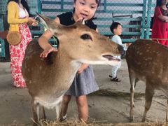 -鹿境梅花鹿生态园区