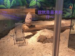 -昆明大悦城未来动物城(螺蛳湾中心店)