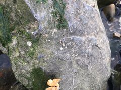 -黑石礁公园