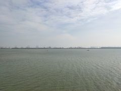 -大湾区中央湿地公园
