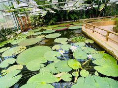 -国家植物园南园