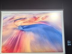 -罗红摄影艺术馆