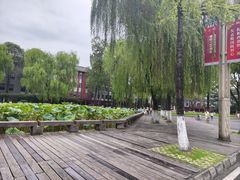 -四川大学(望江校区)