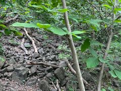 -大蜀山国家森林公园