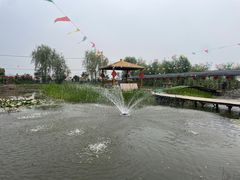 -同銮特种养殖场·龙虾垂钓