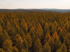 -塞罕坝国家级自然保护区