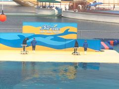 -秦皇岛乐岛海洋王国