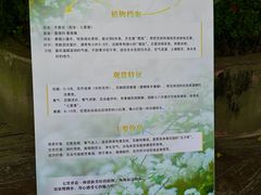 -四川大学(望江校区)
