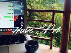 -天门沟九州驿站树上汤泉