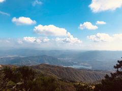 -玉苍山国家森林公园