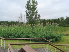 -洨河生态公园