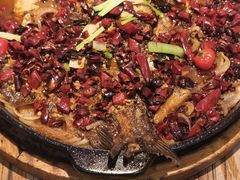 -老板恋上鱼(印象城店)