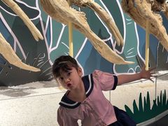 -厦门诚毅自然探索馆