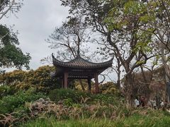 -四海公园(南山区)