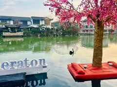 -常州武进九洲喜来登酒店