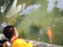 -浙江省博物馆(孤山馆区)
