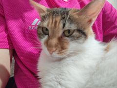 -平行世界·猫咖(首经贸店)