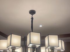 -野妹火锅(龙岗店)