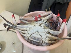 -春华海鲜城(广场西苑店)
