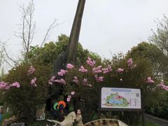 -自然谷恐龙园