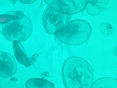 -沈阳海洋探索中心