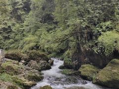 -龙苍沟森林公园