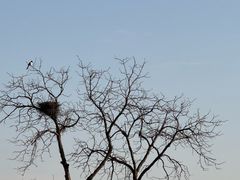 -南城香(北京南站店)