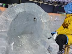 -宁波冰雪大世界(北仑区)