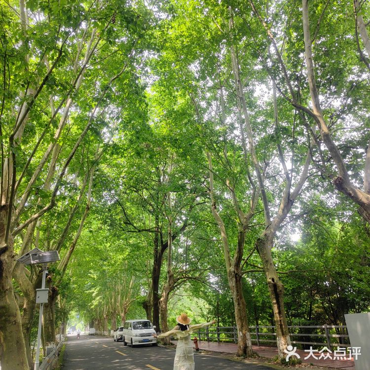 温江区周末休闲时光