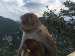 -重庆云阳龙缸景区