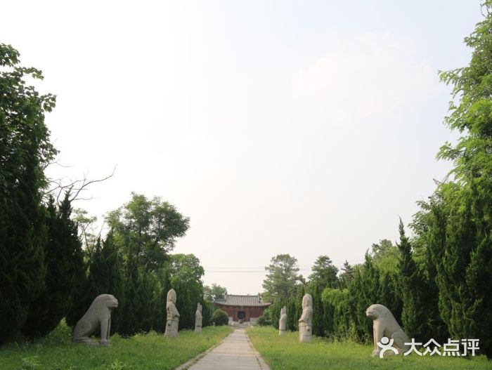 汤和墓古迹园图片