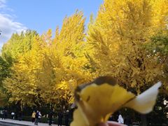-玲珑塔公园