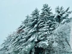 -太子岭滑雪场