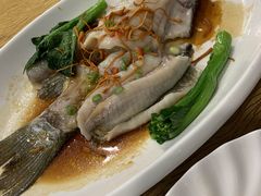 -寻味顺德·南记酒家·传统顺德菜·鱼生(广源路店)