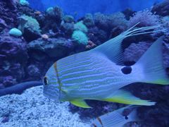 -成都浩海立方海洋公园