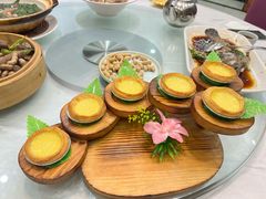 蛋挞-北海渔村酒楼·粤菜海鲜点心(新华店)