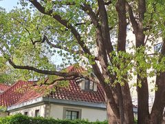 -徐家汇源景区-衡山公园