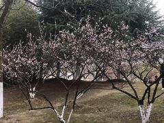 -白塘生态植物园