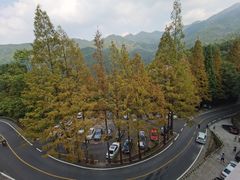 -大围山国家森林公园