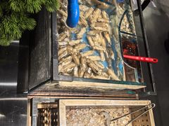 -海汕记·潮汕鲜牛肉火锅·自助