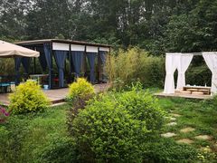 -桤木河湿地公园