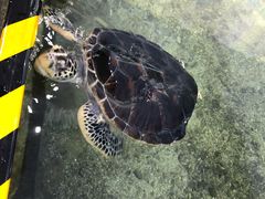 -鸿通城购物中心