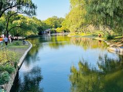 -上海共青森林公园