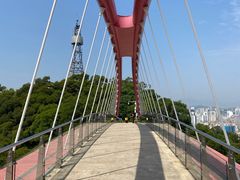 -金鸡山公园