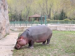 -哈尔滨北方森林动物园