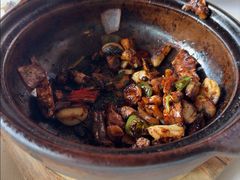 -侨美·唐荔园·40年地道粤菜