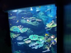 -暹罗海洋世界