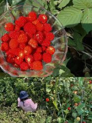 -美肤盾祛痘·问题肌头疗管理中心